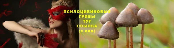 бутик Аркадак