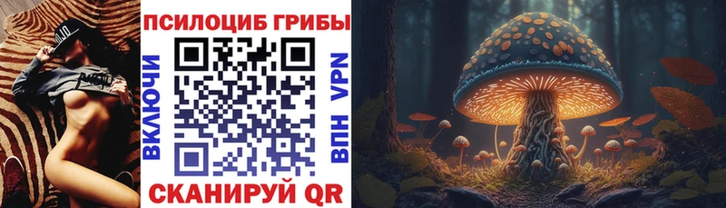 дарк нет Telegram  Перевоз  Псилоцибиновые грибы Cubensis  цена наркотик 