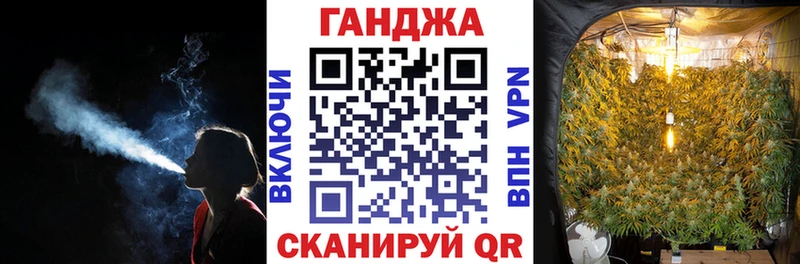 Бошки Шишки план  Перевоз 
